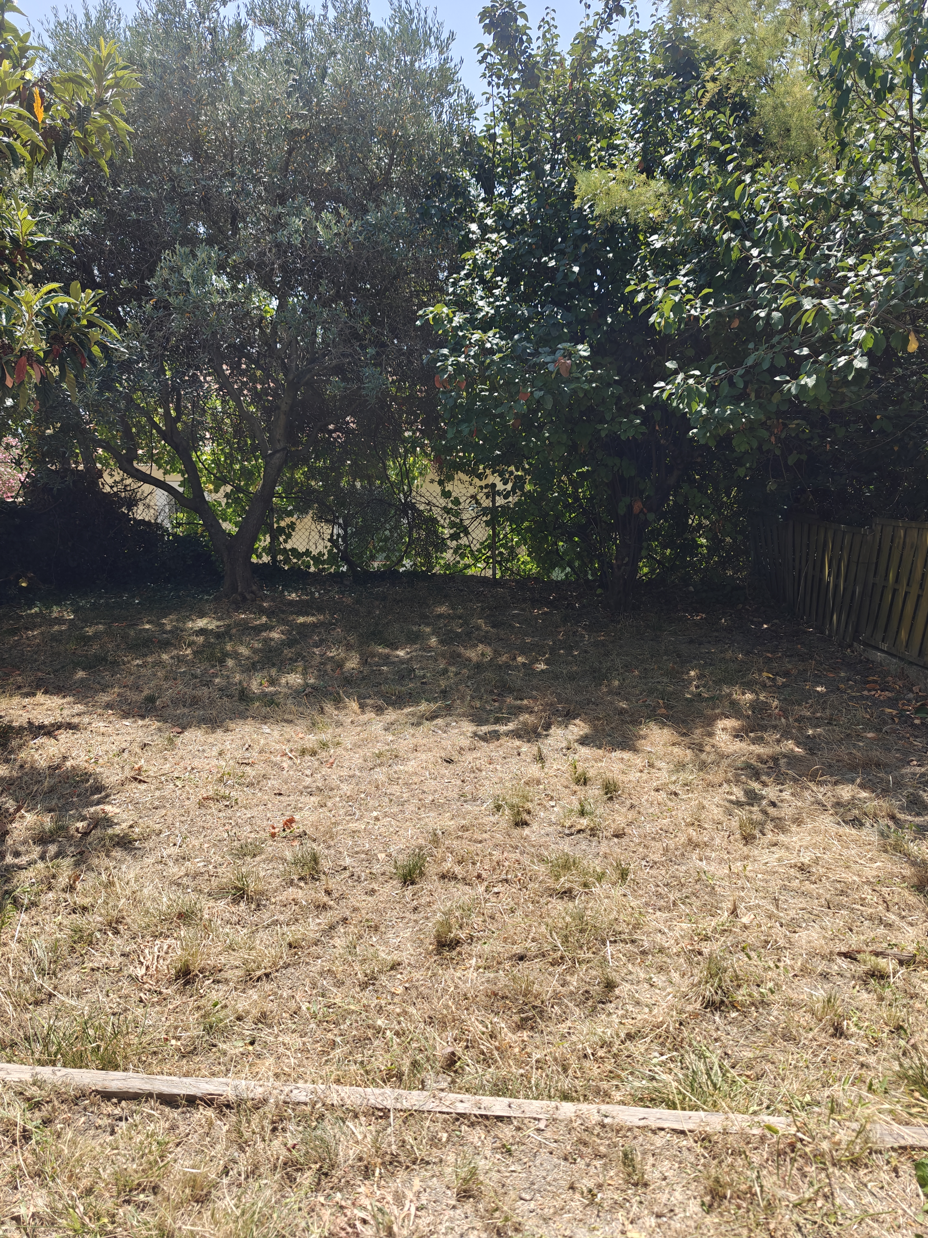 Désherbage de jardin